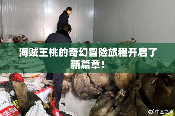 海贼王桃的奇幻冒险旅程开启了新篇章！