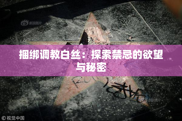 捆绑调教白丝：探索禁忌的欲望与秘密