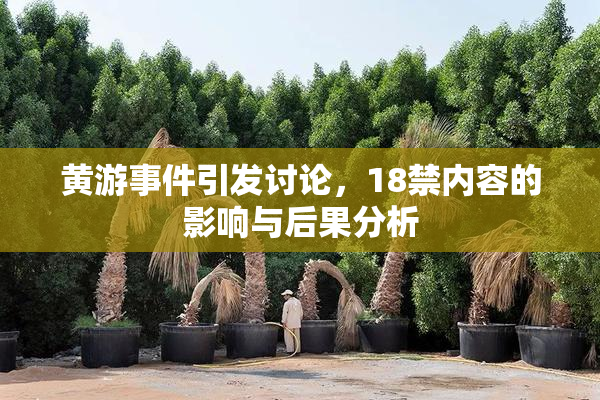 黄游事件引发讨论，18禁内容的影响与后果分析