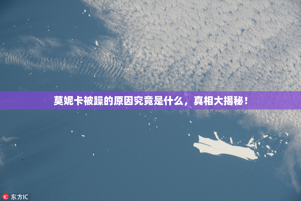 莫妮卡被躁的原因究竟是什么，真相大揭秘！