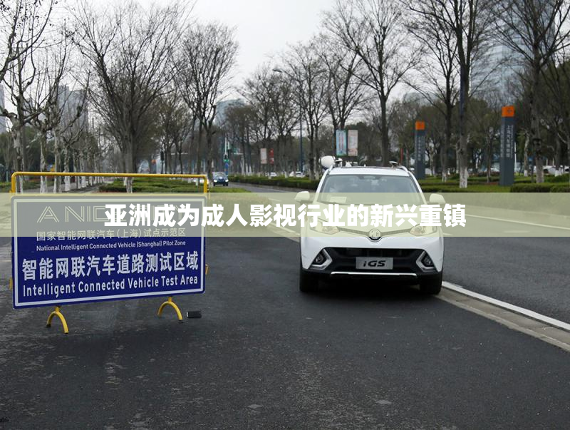 亚洲成为成人影视行业的新兴重镇