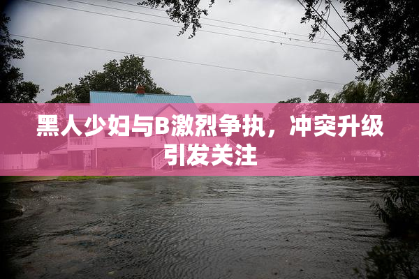 黑人少妇与B激烈争执，冲突升级引发关注