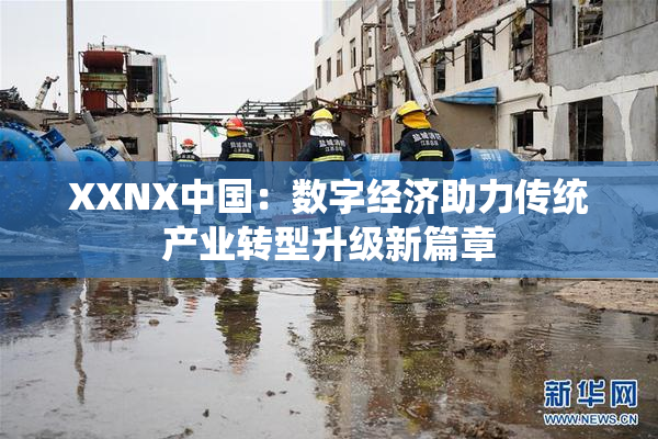 XXNX中国：数字经济助力传统产业转型升级新篇章