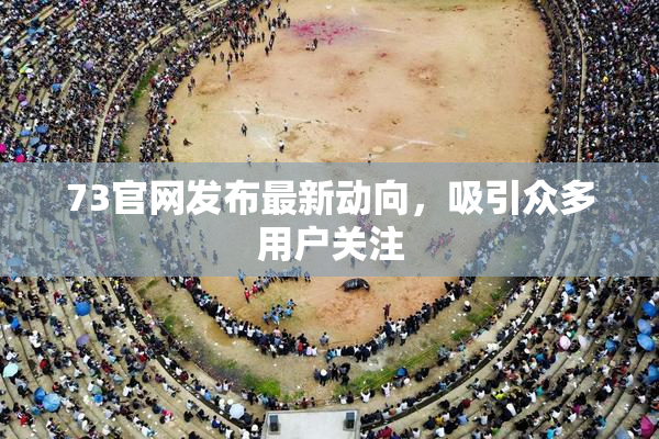 73官网发布最新动向，吸引众多用户关注