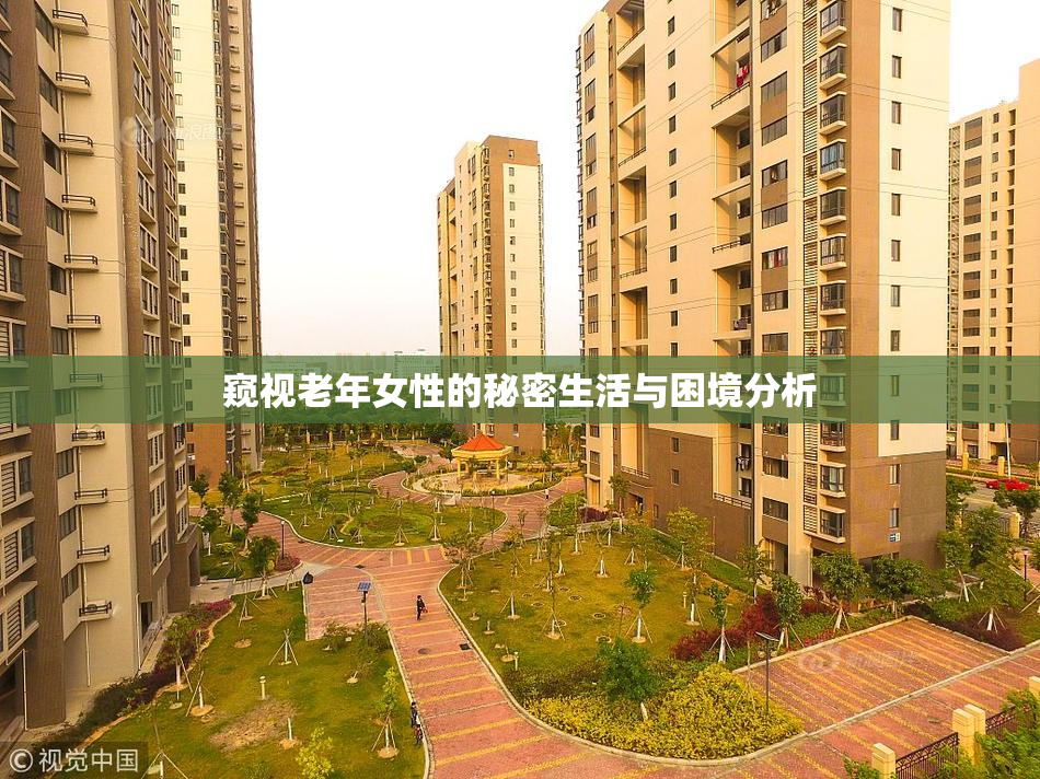 窥视老年女性的秘密生活与困境分析