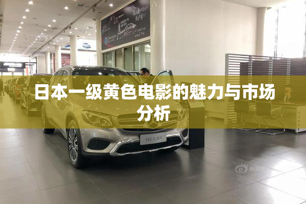 日本一级黄色电影的魅力与市场分析