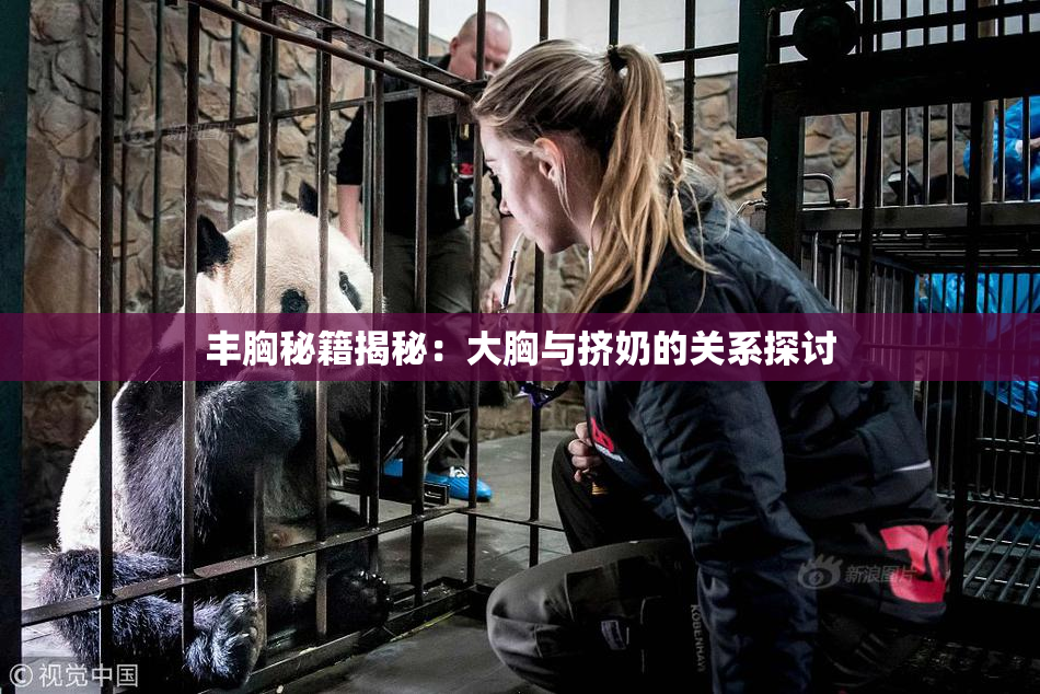 丰胸秘籍揭秘：大胸与挤奶的关系探讨