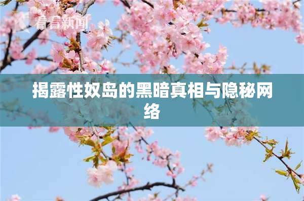 揭露性奴岛的黑暗真相与隐秘网络