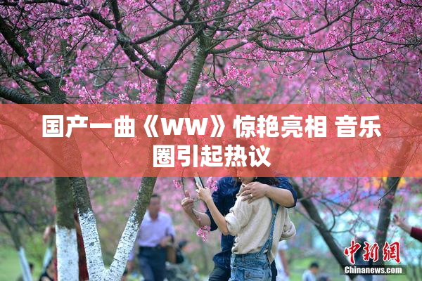 国产一曲《WW》惊艳亮相 音乐圈引起热议