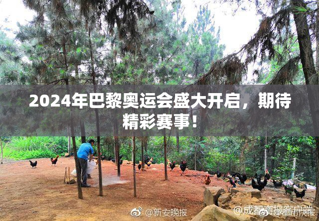 2024年巴黎奥运会盛大开启，期待精彩赛事！