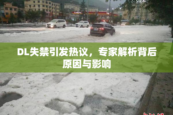 DL失禁引发热议，专家解析背后原因与影响