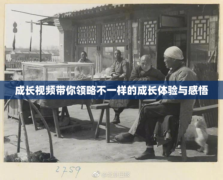 成长视频带你领略不一样的成长体验与感悟
