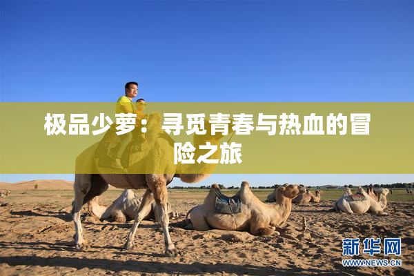 极品少萝：寻觅青春与热血的冒险之旅