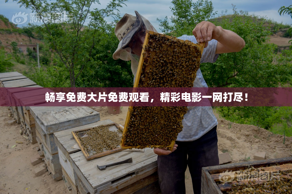 畅享免费大片免费观看，精彩电影一网打尽！