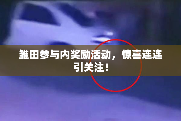 雏田参与内奖励活动，惊喜连连引关注！