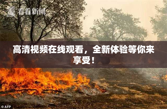 高清视频在线观看，全新体验等你来享受！