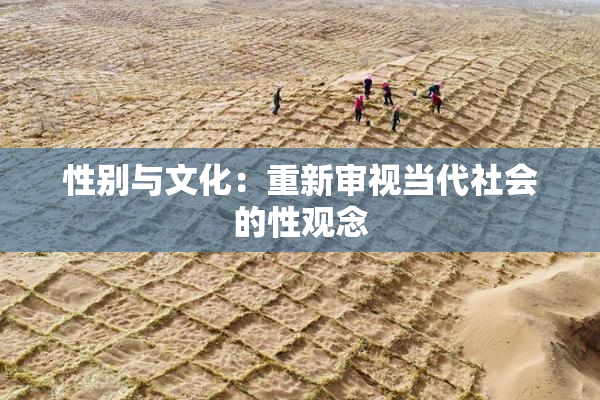 性别与文化：重新审视当代社会的性观念