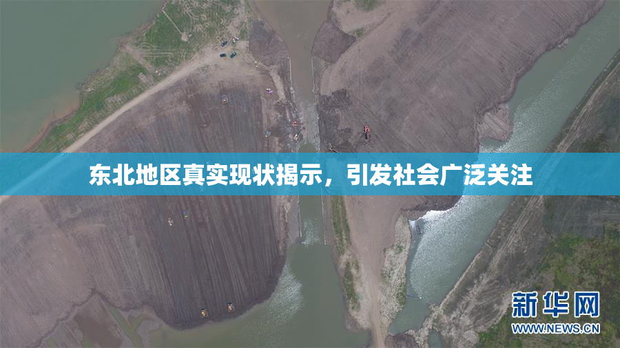 东北地区真实现状揭示，引发社会广泛关注