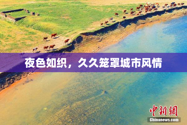 夜色如织，久久笼罩城市风情
