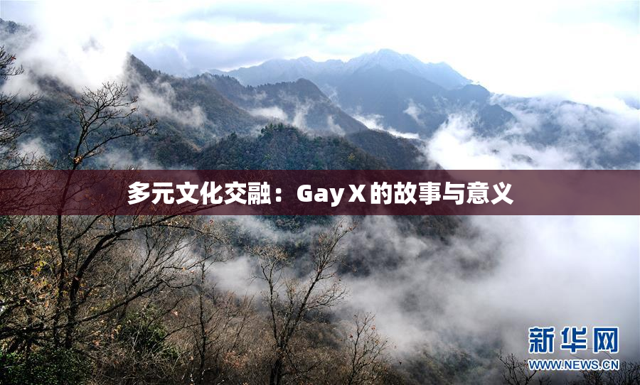 多元文化交融：GayⅩ的故事与意义