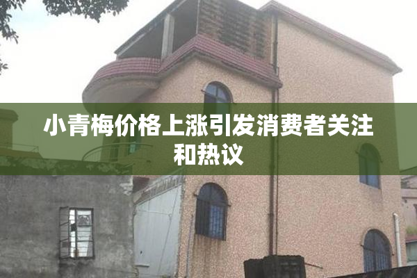 小青梅价格上涨引发消费者关注和热议