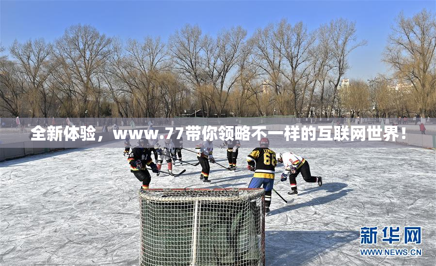 全新体验，www.77带你领略不一样的互联网世界！