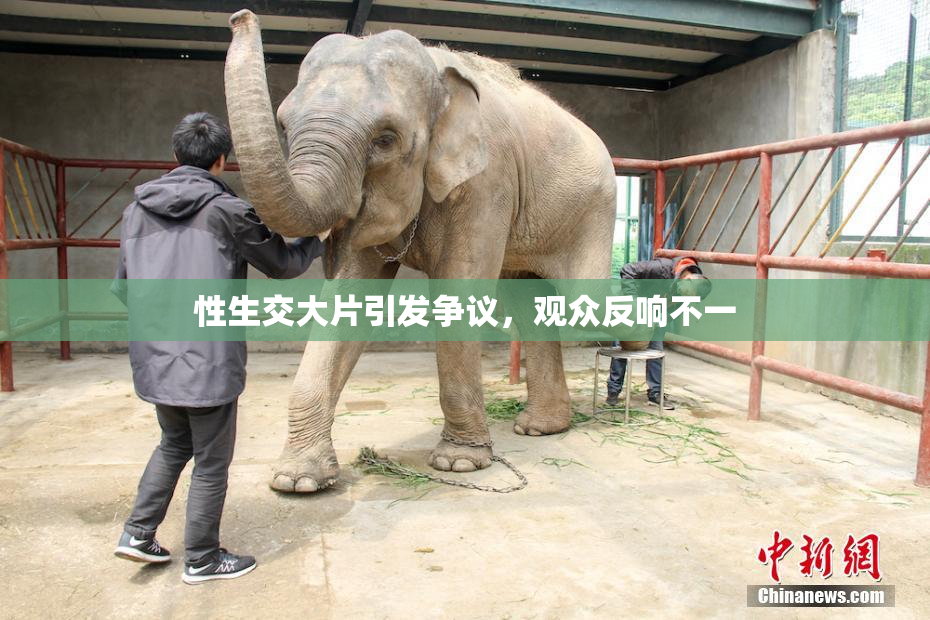 性生交大片引发争议，观众反响不一