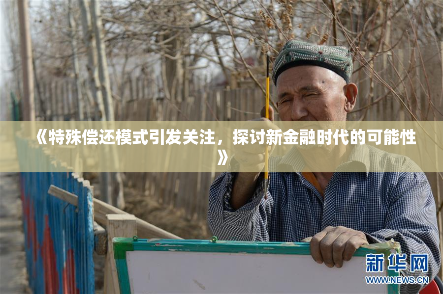 《特殊偿还模式引发关注，探讨新金融时代的可能性》