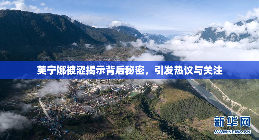 芙宁娜被涩揭示背后秘密，引发热议与关注
