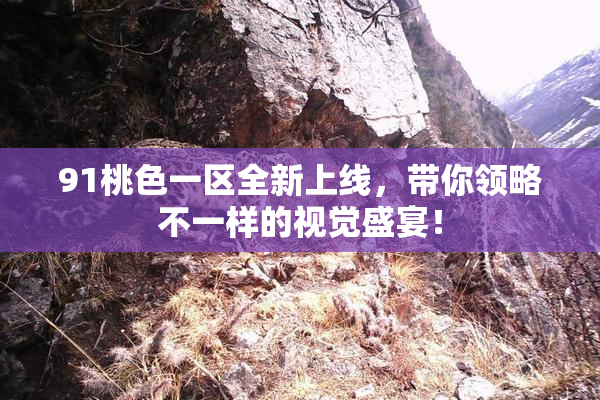 91桃色一区全新上线，带你领略不一样的视觉盛宴！