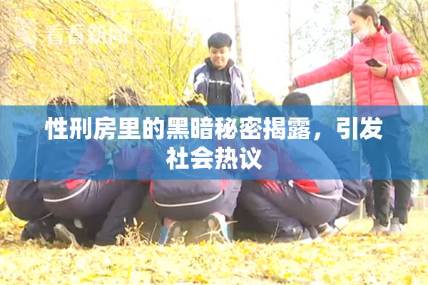性刑房里的黑暗秘密揭露，引发社会热议