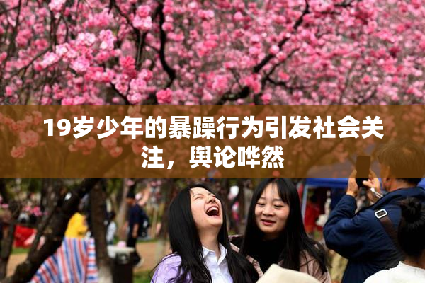 19岁少年的暴躁行为引发社会关注，舆论哗然