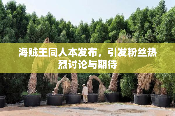 海贼王同人本发布，引发粉丝热烈讨论与期待