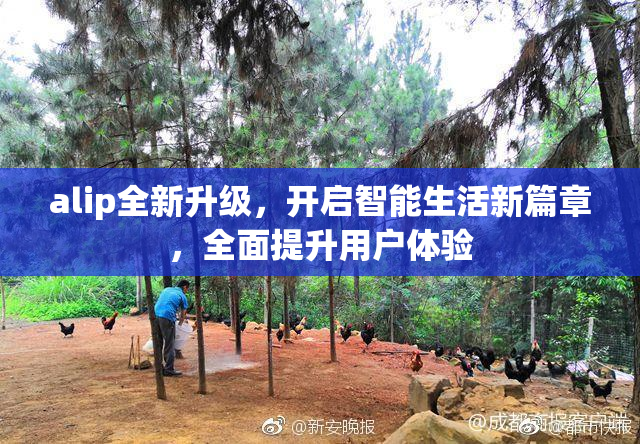 alip全新升级，开启智能生活新篇章，全面提升用户体验