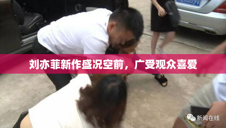 刘亦菲新作盛况空前，广受观众喜爱