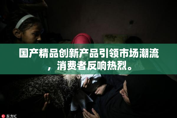 国产精品创新产品引领市场潮流，消费者反响热烈。