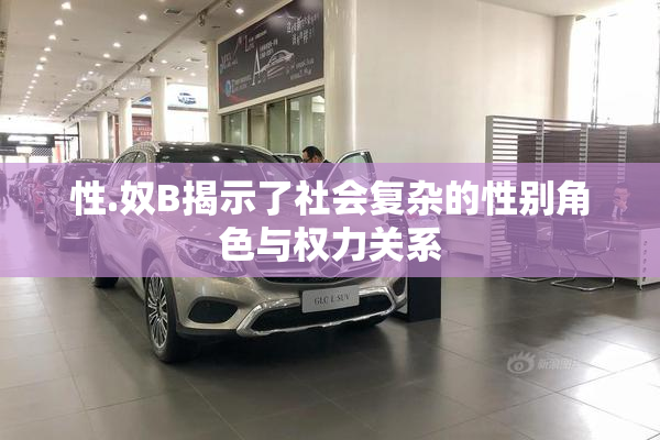 性.奴B揭示了社会复杂的性别角色与权力关系