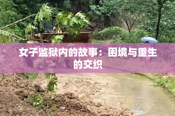 女子监狱内的故事：困境与重生的交织