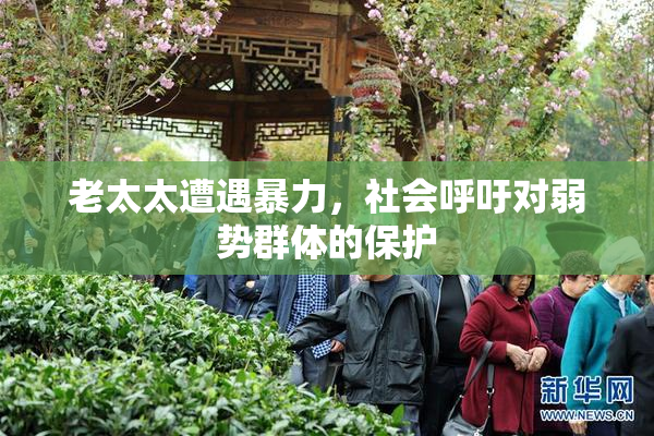 老太太遭遇暴力，社会呼吁对弱势群体的保护