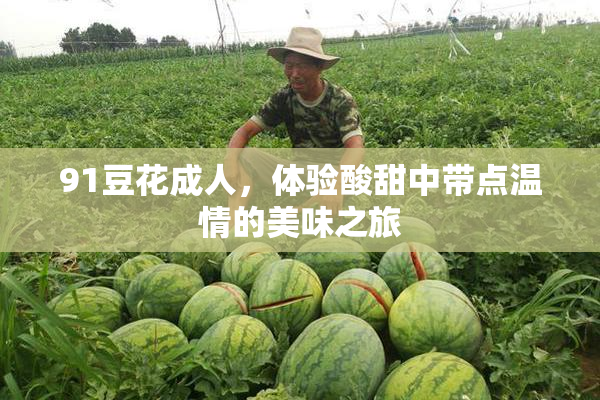 91豆花成人，体验酸甜中带点温情的美味之旅