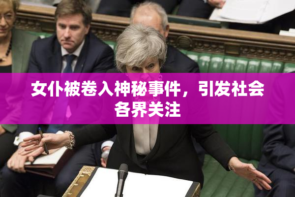 女仆被卷入神秘事件，引发社会各界关注