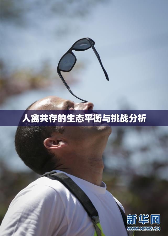 人禽共存的生态平衡与挑战分析