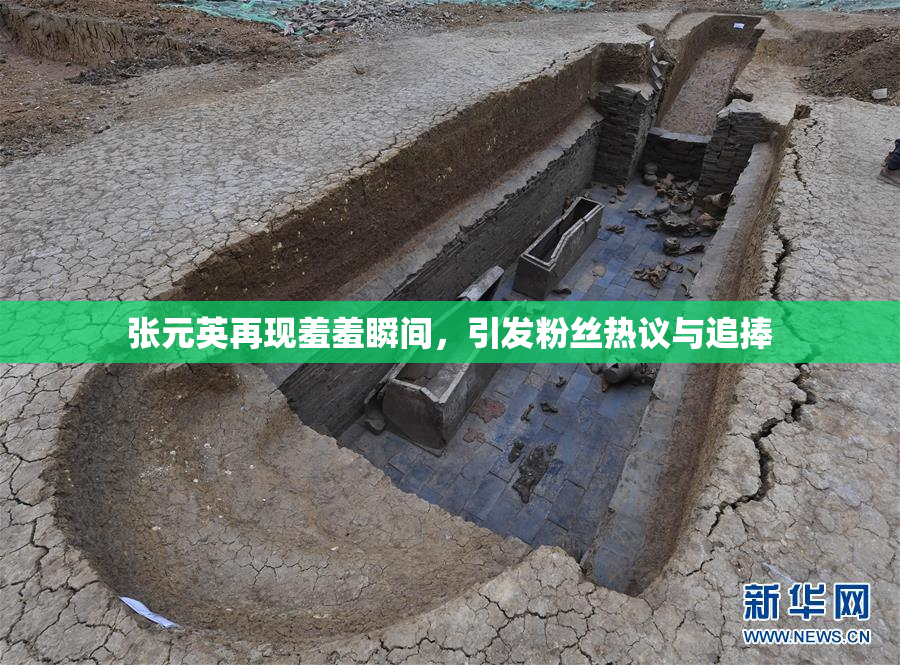 张元英再现羞羞瞬间，引发粉丝热议与追捧