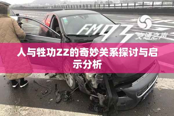 人与牲功ZZ的奇妙关系探讨与启示分析
