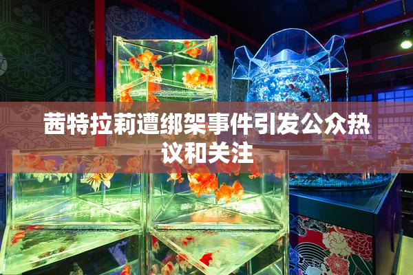 茜特拉莉遭绑架事件引发公众热议和关注