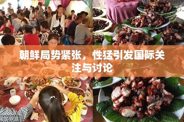 朝鲜局势紧张，性猛引发国际关注与讨论