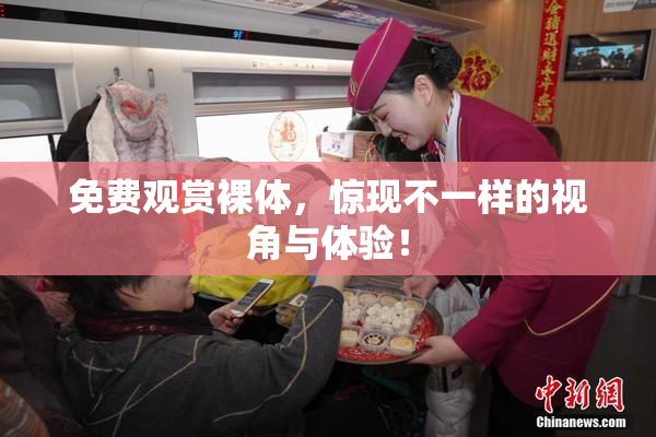 免费观赏裸体，惊现不一样的视角与体验！