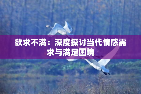 欲求不满：深度探讨当代情感需求与满足困境