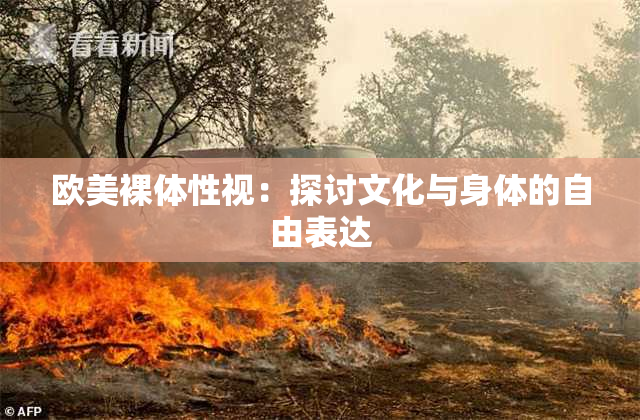 欧美裸体性视：探讨文化与身体的自由表达