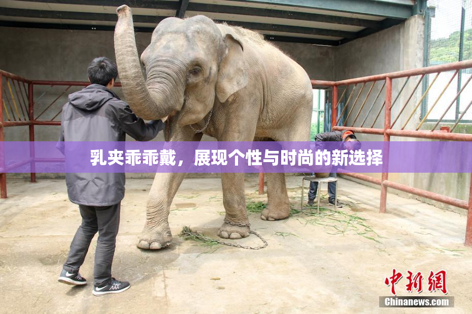 乳夹乖乖戴，展现个性与时尚的新选择